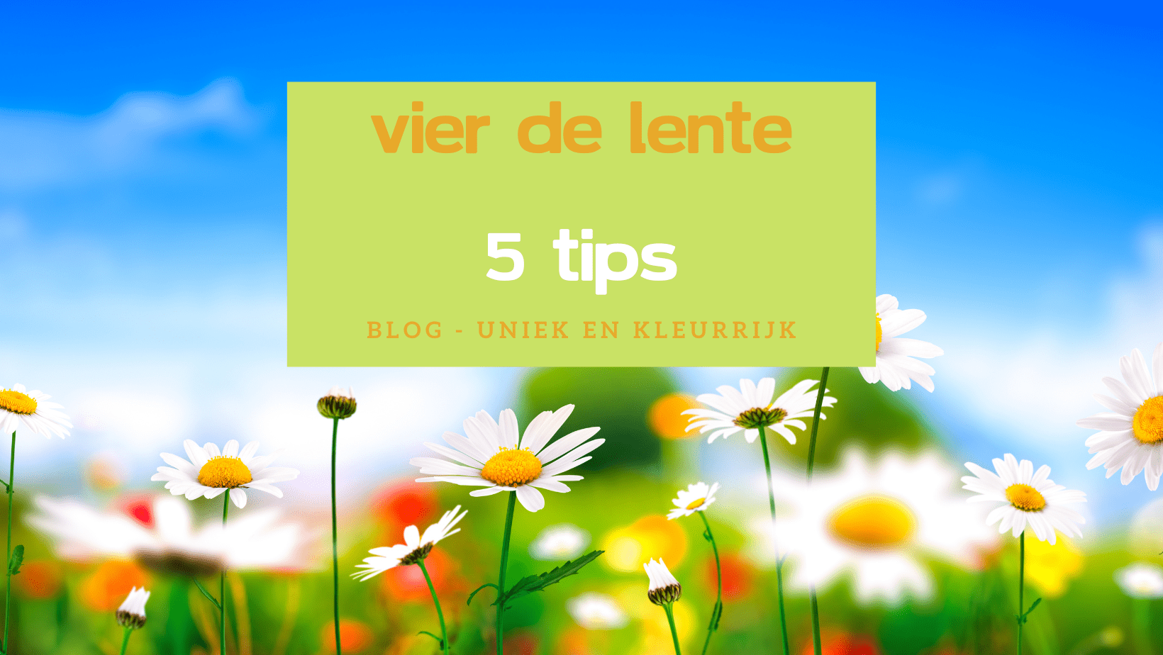 5 Tips Om De Lente Te Vieren Bastaa